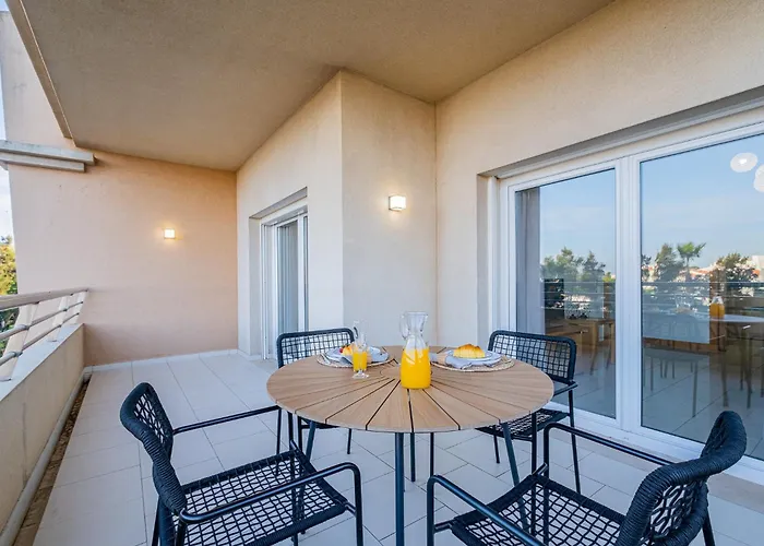 Barracuda Oura Dream