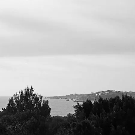 Будинок відпочинку Barracuda Oura Dream *