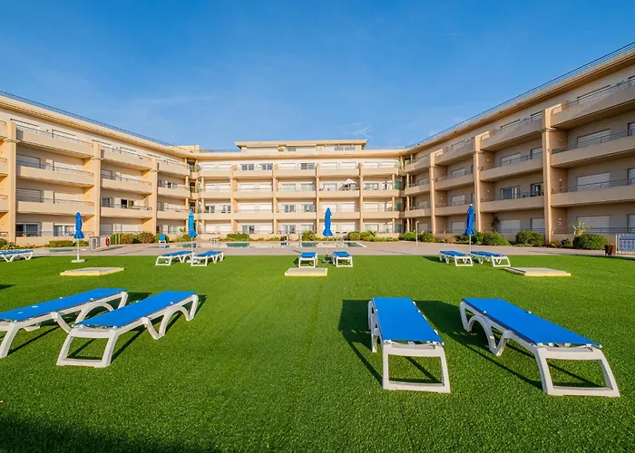 Barracuda Oura Dream *